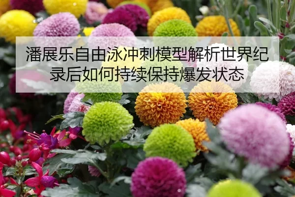 潘展乐自由泳冲刺模型解析世界纪录后如何持续保持爆发状态