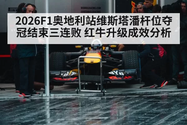 Max Verstappen Red Bull racing